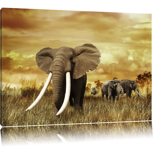 East Urban Home Leinwandbild Stolzer Elefant in Savanne | Wayfair.de